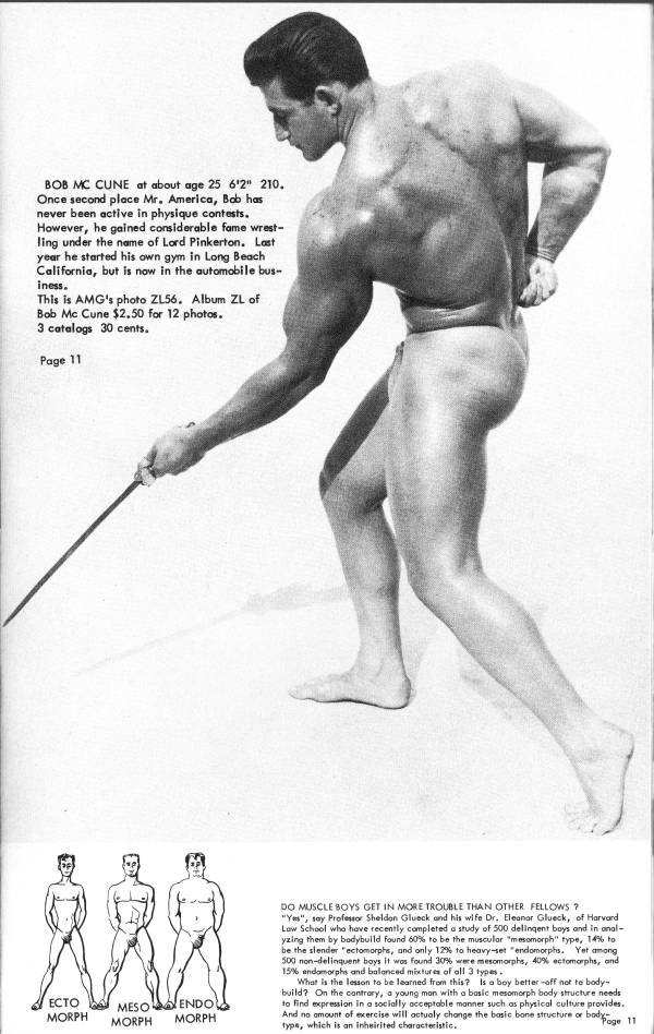 BOB MC CUNE at about age 25 6'2" 210. Once second place Mr. America, Bob has never been active in physique contests. However, he gained considerable fame wrest- ling under the name of Lord Pinkerton. Last year he started his own gym in Long Beach California, but is now in the automobile bus- iness.
This is AMG's photo ZL56. Album ZL of Bob Mc Cune $2.50 for 12 photos. 3 catalogs 30 cents.
Page 11
ECTO MORPH
MESO MORPH
ENDO MORPH
DO MUSCLE BOYS GET IN MORE TROUBLE THAN OTHER FELLOWS? "Yes", say Professor Sheldon Glueck and his wife Dr. Eleanor Glueck, of Harvard Low School who have recently completed a study of 500 delingent boys and in anal- yzing them by bodybuild found 60% to be the muscular "mesomorph" type, 14% to be the slender "ectomorphs, and only 12% to heavy-set "endomorphs. Yet among 500 non-delinquent boys it was found 30% were mesomorphs, 40% ectomorphs, and
15% endomorphs and balanced mixtures of all 3 types. What is the lesson to be learned from this? Is a boy better-off not to body- build? On the contrary, a young man with a basic mesomorph body structure needs to find expression in a socially acceptable manner such as physical culture provides. And no amount of exercise will actualy change the basic bone structure or badge 11
type, which is an inheirited characteristic.