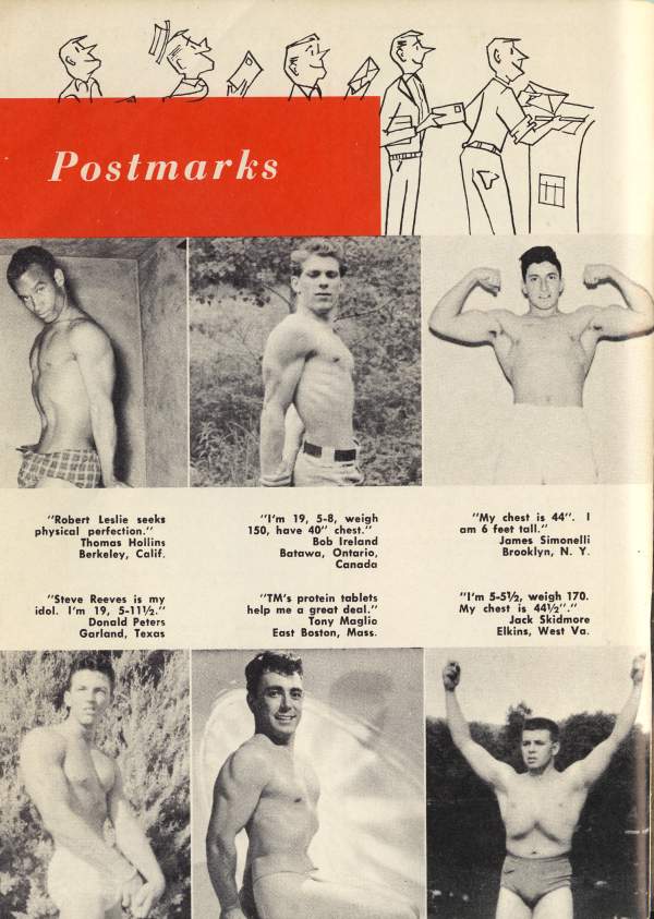 Postmarks
"Robert Leslie seeks physical perfection." Thomas Hollins Berkeley, Calif.
"Steve Reeves is my idol. I'm 19, 5-112." Donald Peters
Garland, Texas
"I'm 19, 5-8, weigh 150, have 40" chest." Bob Ireland Batawa, Ontario, Canada
"TM's protein tablets help me a great deal." Tony Maglio East Boston, Mass.
"My chest is 44". 1 am 6 feet tall." James Simonelli Brooklyn, N. Y.
"I'm 5-52, weigh 170. My chest is 441/2"." Jack Skidmore Elkins, West Va.