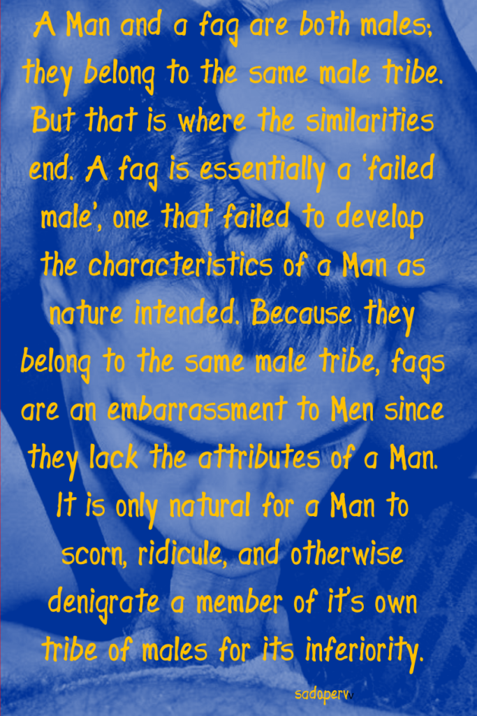 A Man and a fag are both males; they belong to the same male tribe. But that is where the similarities end. A fag is essentially a 'failed male', one that failed to develop the characteristics of a Man as nature intended. Because they belong to the same male tribe, fags are an embarrassment to Men since they lack the attributes of a Man. It is only natural for a Man to scorn, ridicule, and otherwise denigrate a member of it's own tribe of males for its inferiority.
sadaperv