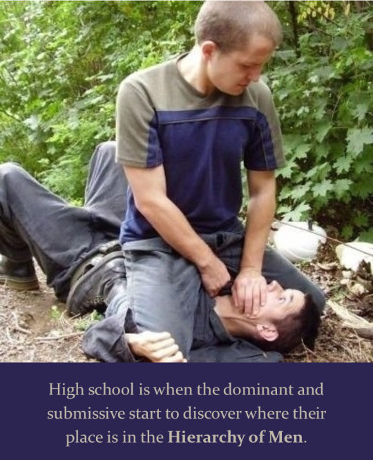 High school is when the dominant and submissive start to discover where their place is in the Hierarchy of Men.