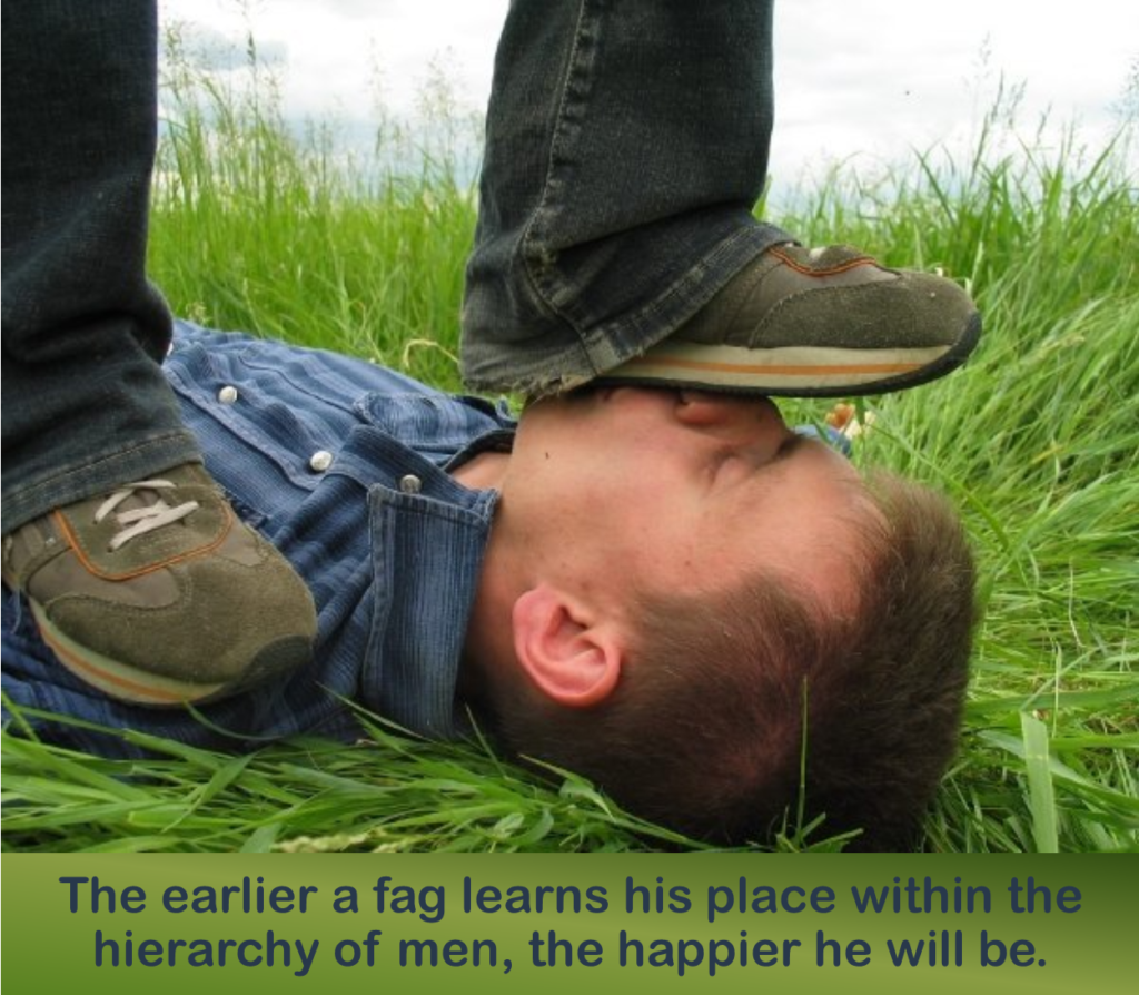 The earlier a fag learns his place within the hierarchy of men, the happier he will be.