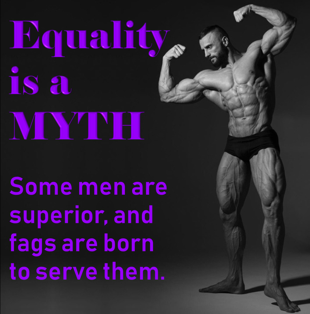 Equality is a MYTH
Some men are superior, and fags are born to serve them.