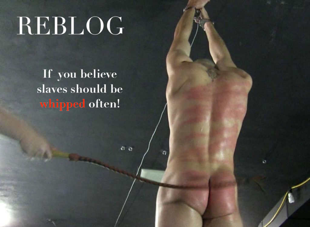 Reblog if you believe that slaves should be whipped often.