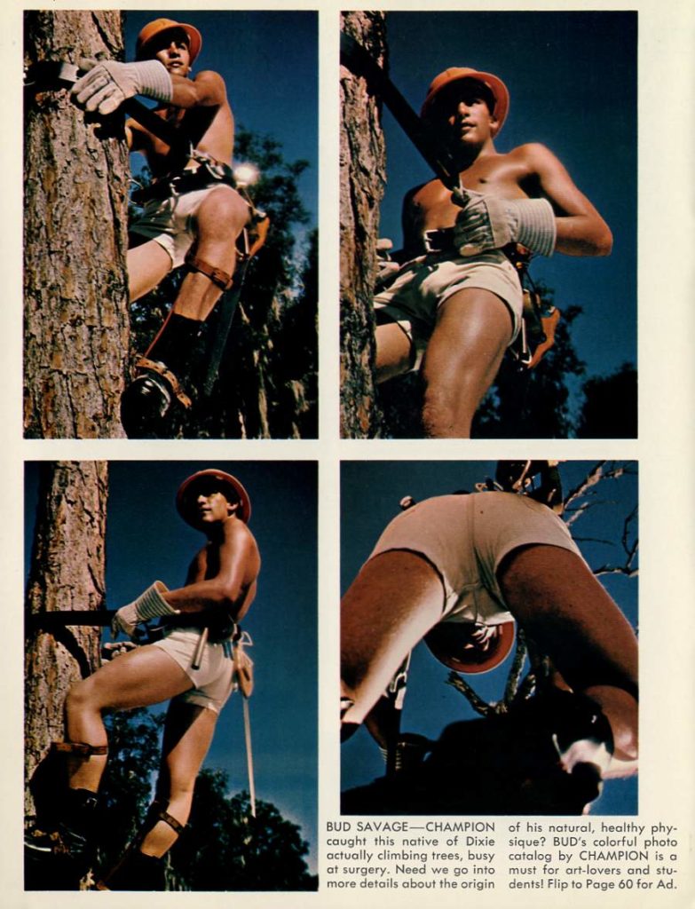 BUD SAVAGE-CHAMPION caught this native of Dixie actually climbing trees, busy at surgery. Need we go into more details about the origin
of his natural, healthy phy- sique? BUD's colorful photo catalog by CHAMPION is a must for art-lovers and stu- dents! Flip to Page 60 for Ad.