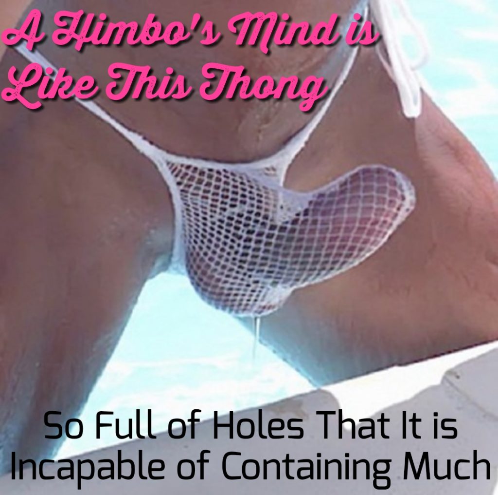 A himbo's mind is like this thong: so full of holes that it's incapable of containing much.