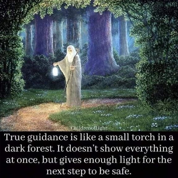 Childrenoflight True guidance is like a small torch in a dark forest. It doesn't show everything at once, but gives enough light for the next step to be safe.