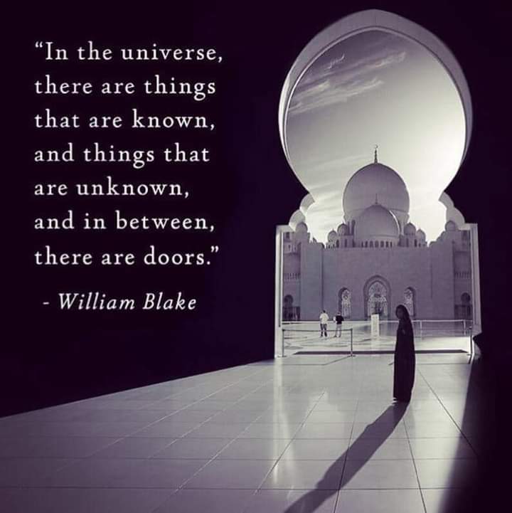 "In the universe, there are things that are known, and things that are unknown, and in between, there are doors."
- William Blake