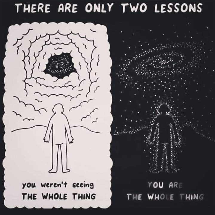 THERE ARE ONLY TWO LESSONS
you weren't seeing THE WHOLE THING
YOU ARE
THE WHOLE THING
