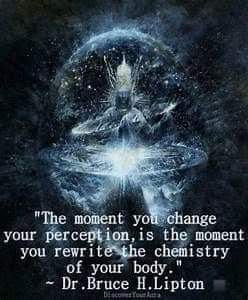 "The moment you change your perception, is the moment you rewrite the chemistry of your body." Dr. Bruce H.Lipton