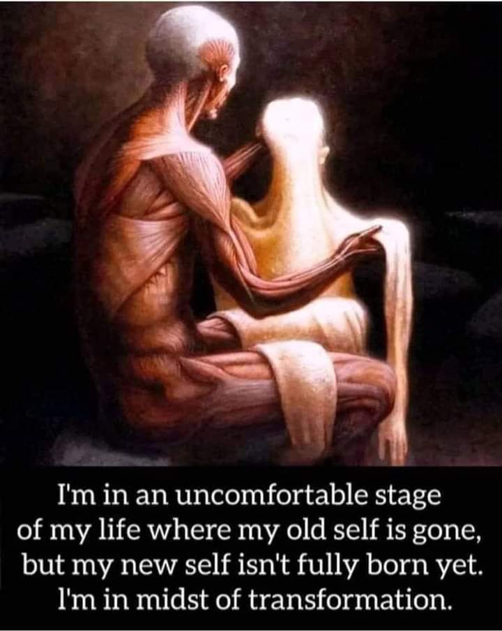 I'm in an uncomfortable stage of my life where my old self is gone, but my new self isn't fully born yet. I'm in midst of transformation.