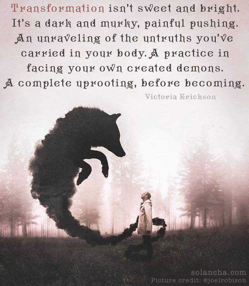 Transformation isn't sweet and bright. It's a dark and murky, painful pushing. An unraveling of the untruths you've carried in your body. A practice in facing your own created demons. A complete uprooting, before becoming.
Victoria Erickson
solancha.com Picture credit: @joelrobison