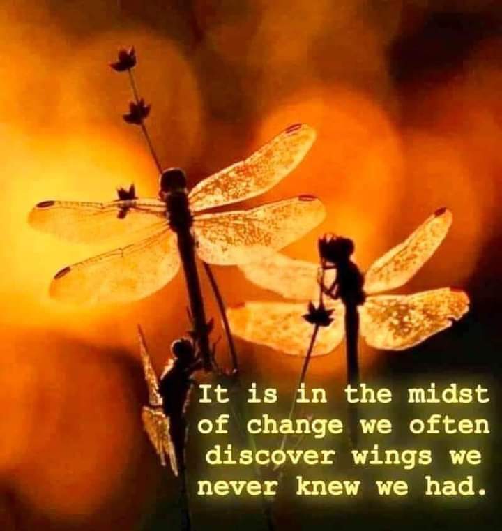 It is in the midst of change we often discover wings we never knew we had.