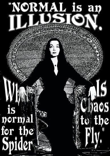 "NORMAL is an ILLUSION.
is normal for the Spider
Is Chaos to the Fly."