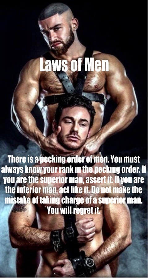 Laws of Men
There is a pecking order of men. You must always know your rank in the pecking order. If you are the superior man, assert it. If you are the inferior man, act like it. Do not make the mistake of taking charge of a superior man. You will regret it.