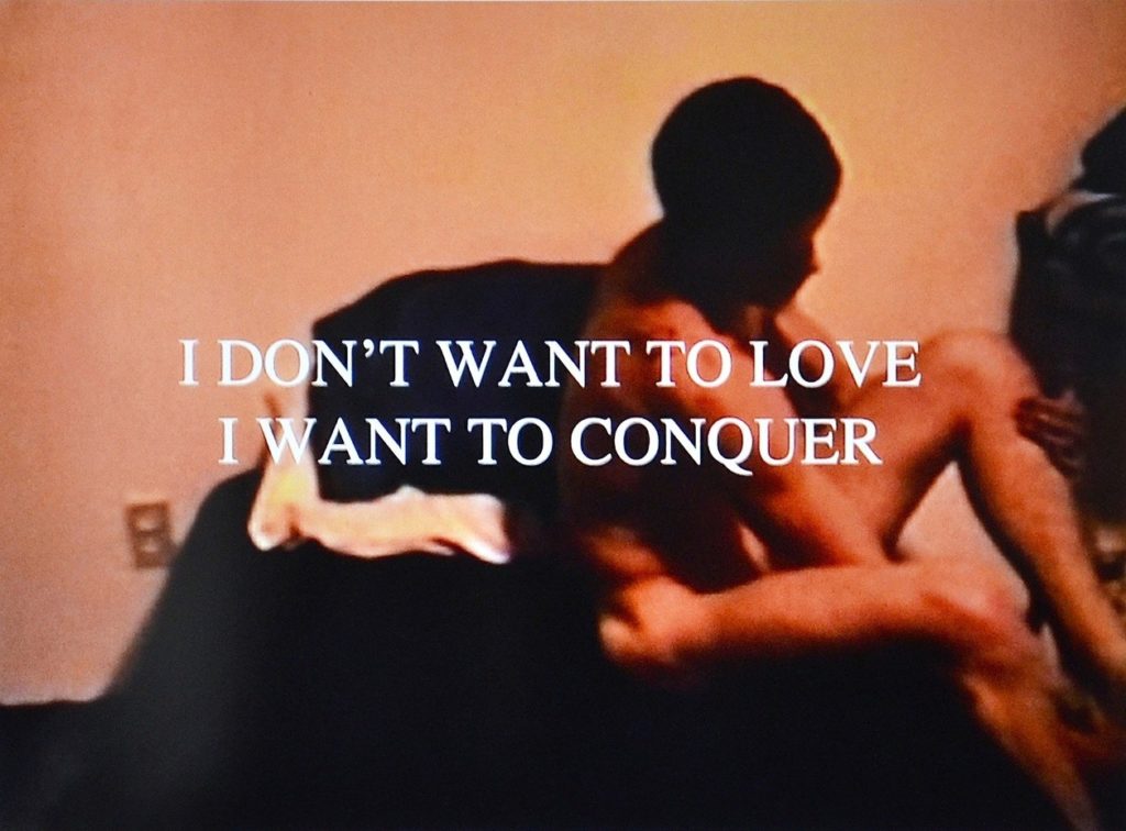 I DON'T WANT TO LOVE I WANT TO CONQUER