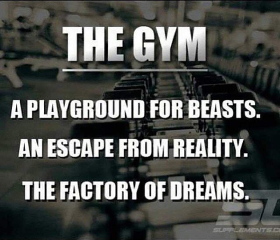 THE GYM
A PLAYGROUND FOR BEASTS.
AN ESCAPE FROM REALITY.
THE FACTORY OF DREAMS.
