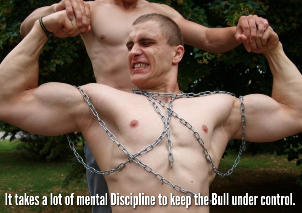 It takes a lot of mental Discipline to keep the Bull under control.