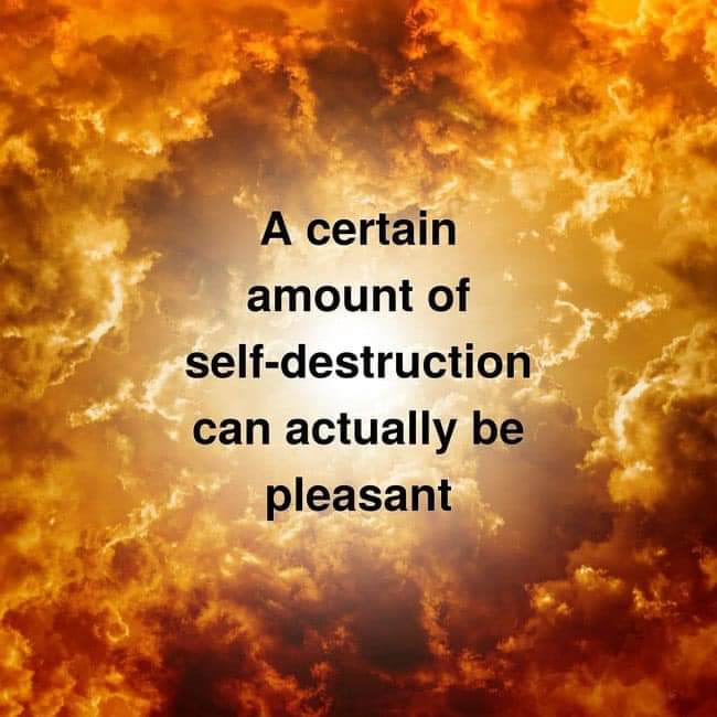 A certain amount of self-destruction can actually be pleasant