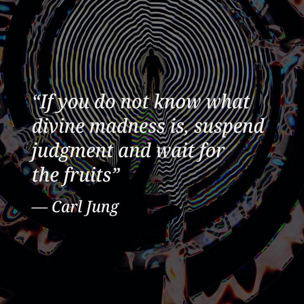 “If you do not know what divine madness is, suspend judgment and wait for the fruits"
— Carl Jung