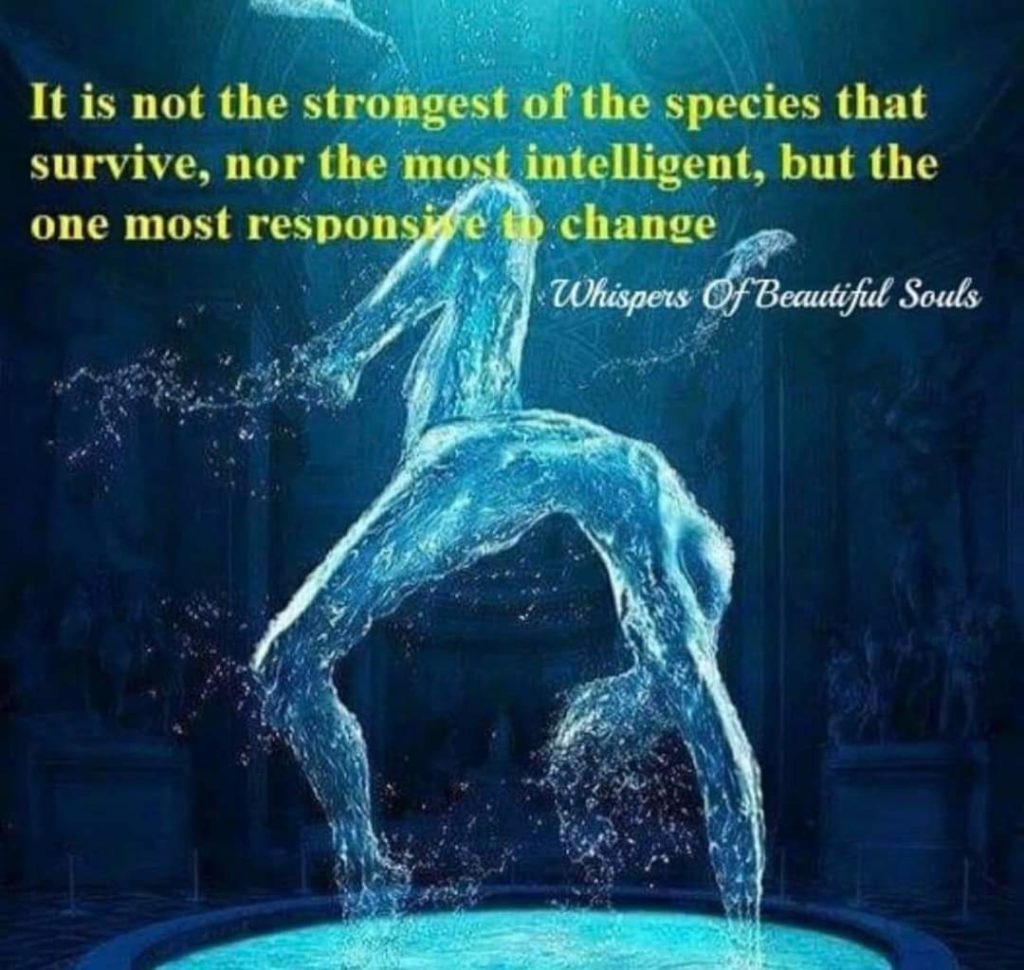 It is not the strongest of the species that survive, nor the most intelligent, but the one most responsive to change
Whispers Of Beautiful Souls