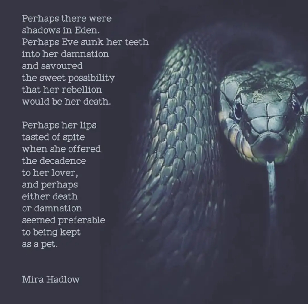 Perhaps there were shadows in Eden. Perhaps Eve sunk her teeth into her damnation and savoured the sweet possibility that her rebellion would be her death.
Perhaps her lips tasted of spite when she offered the decadence to her lover, and perhaps either death or damnation seemed preferable to being kept as a pet.
Mira Hadlow