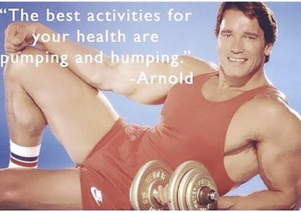 "The best activities for your health are pumping and humping." -Arnold