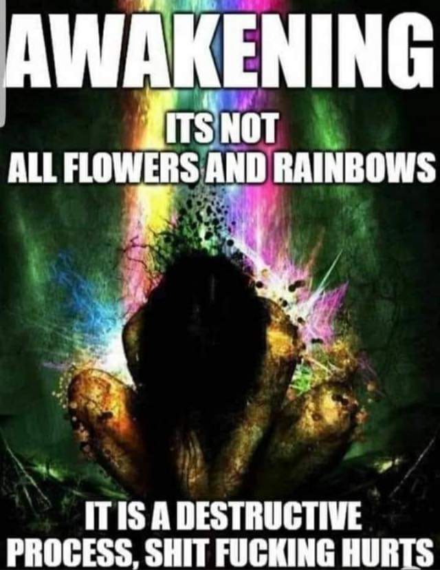 AWAKENING
ITS NOT ALL FLOWERS AND RAINBOWS
IT IS A DESTRUCTIVE PROCESS, SHIT FUCKING HURTS