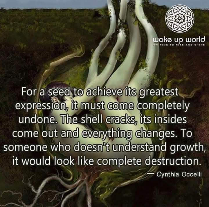 wake up world TIME TO RISE AND SHINE
For a seed to achieve its greatest
expression, it must come completely
undone. The shell cracks, its insides
come out and everything changes. To
someone who doesn't understand growth,
it would look like complete destruction.
Cynthia Occelli