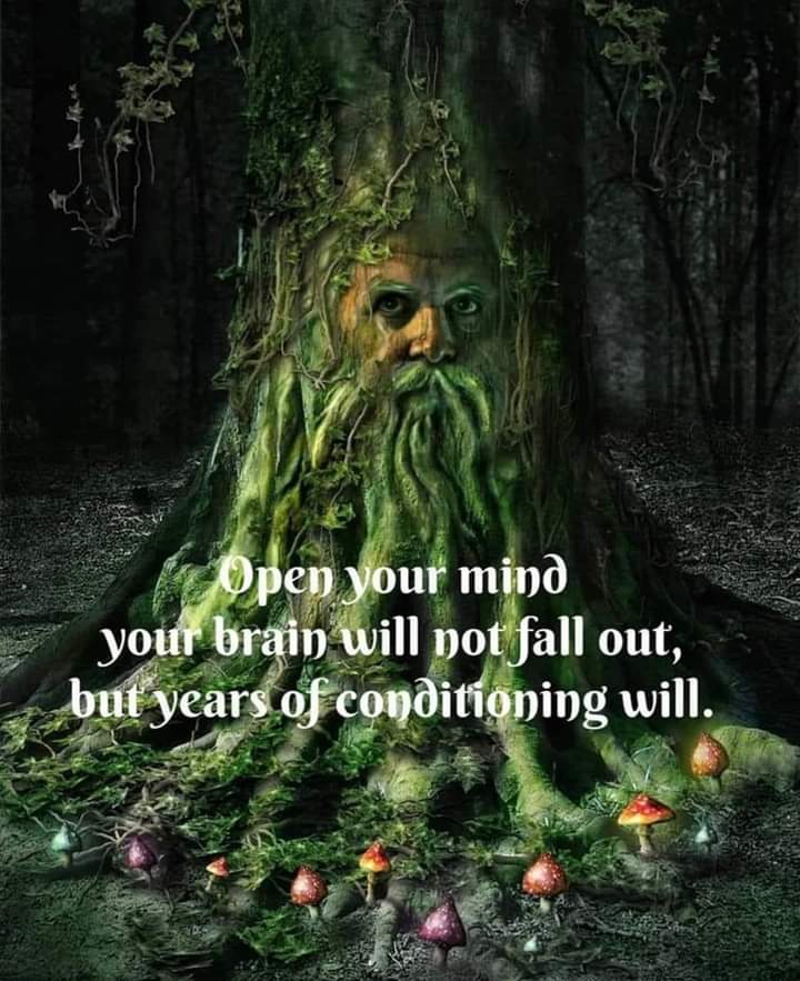 Open your mind your brain will not fall out, but years of conditioning will.