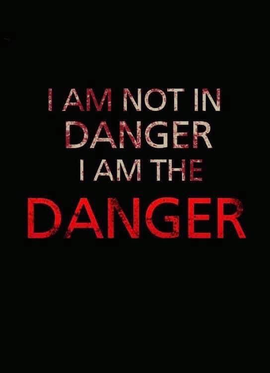 I AM NOT IN DANGER I AM THE DANGER