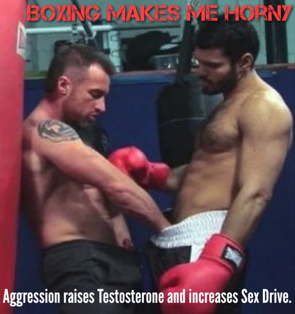 BOXING MAKES ME HORNY
Aggression raises Testosterone and increases Sex Drive.