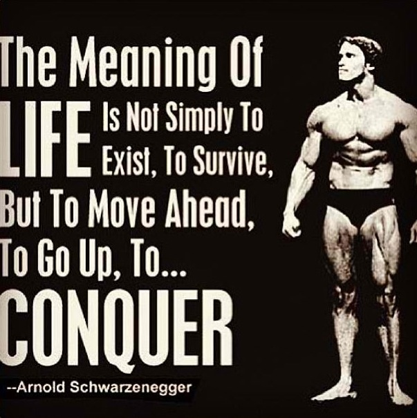 The Meaning Of LIFE Is Not Simply To Exist, To Survive, But To Move Ahead, To Go Up, To... CONQUER
--Arnold Schwarzenegger