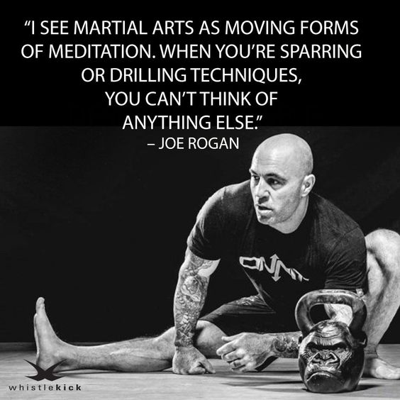 "I SEE MARTIAL ARTS AS MOVING FORMS OF MEDITATION. WHEN YOU'RE SPARRING OR DRILLING TECHNIQUES, YOU CAN'T THINK OF ANYTHING ELSE."
- JOE ROGAN
whistlekick