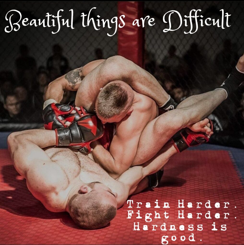 Beautiful things are Difficult
Train Harder. Fight Harder. Hardness is good.