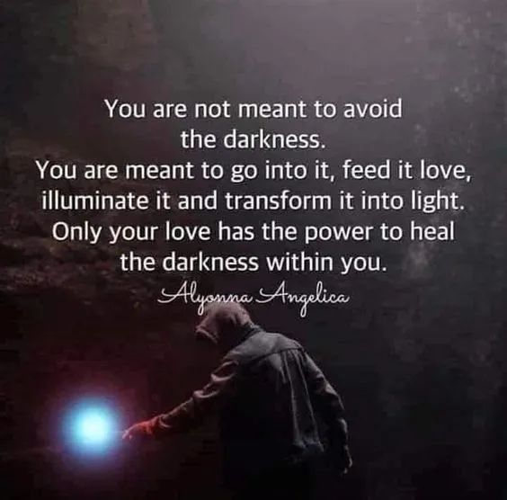 You are not meant to avoid the darkness.
You are meant to go into it, feed it love, illuminate it and transform it into light. Only your love has the power to heal the darkness within you.
Alyonna Angelica