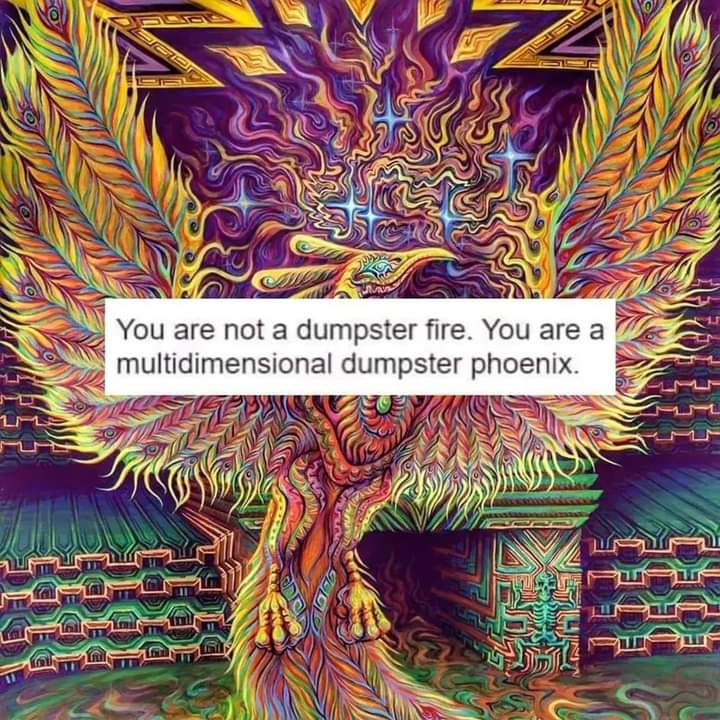 You are not a dumpster fire. You are a multidimensional dumpster phoenix.