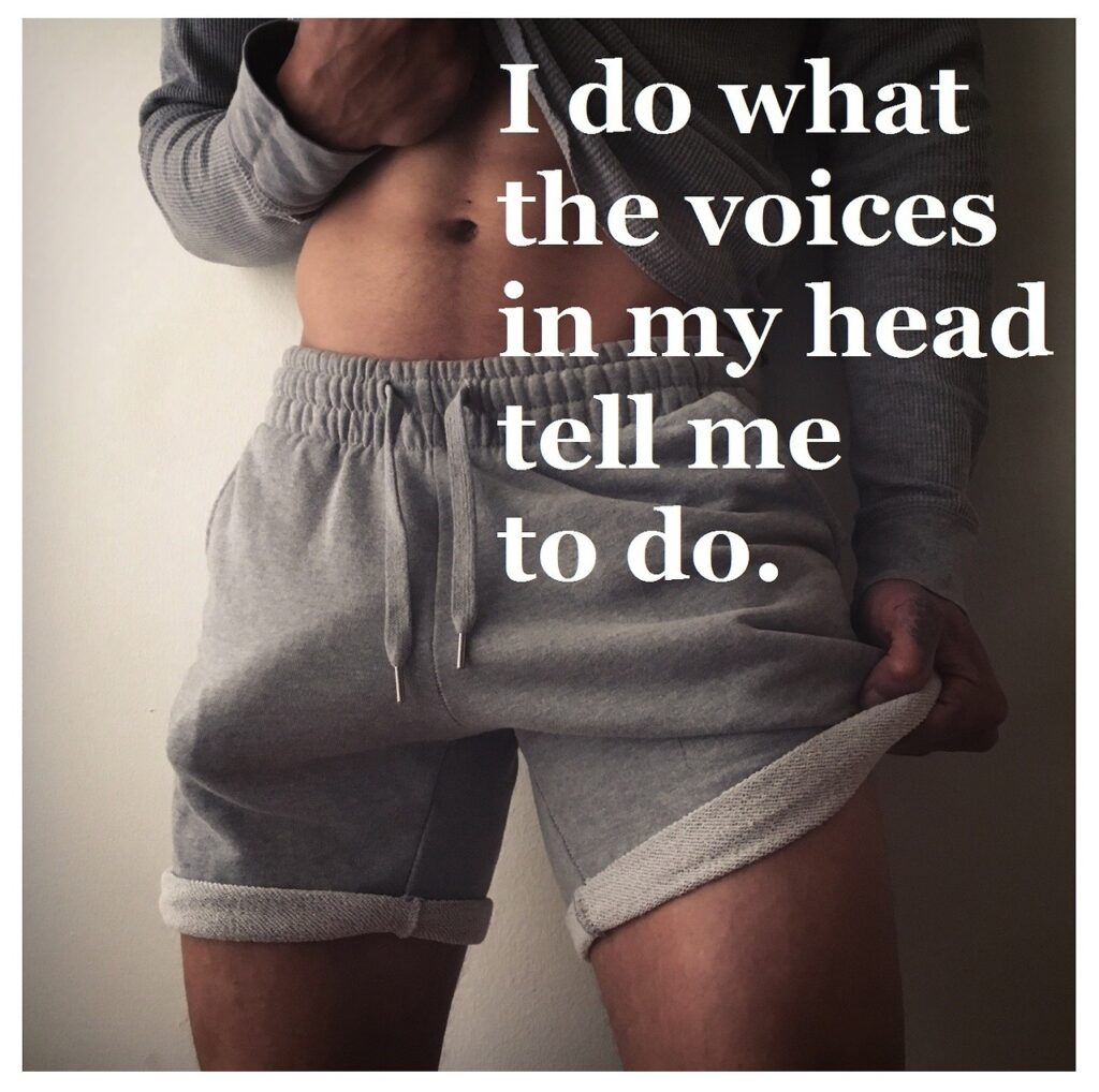 I do what the voices in my head tell me to do.