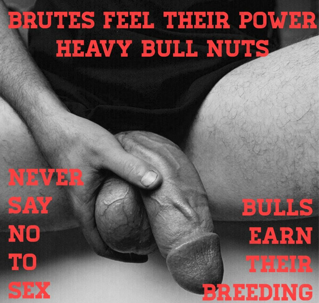 BRUTES FEEL THEIR POWER HEAVY BULL NUTS
NEVE SAY NO TO SEX
BULLS EARN THEIR BREEDING