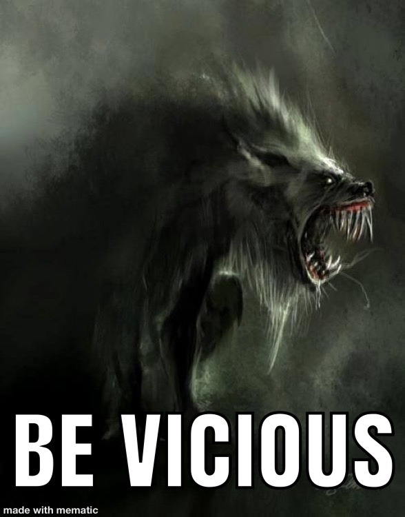 BE VICIOUS