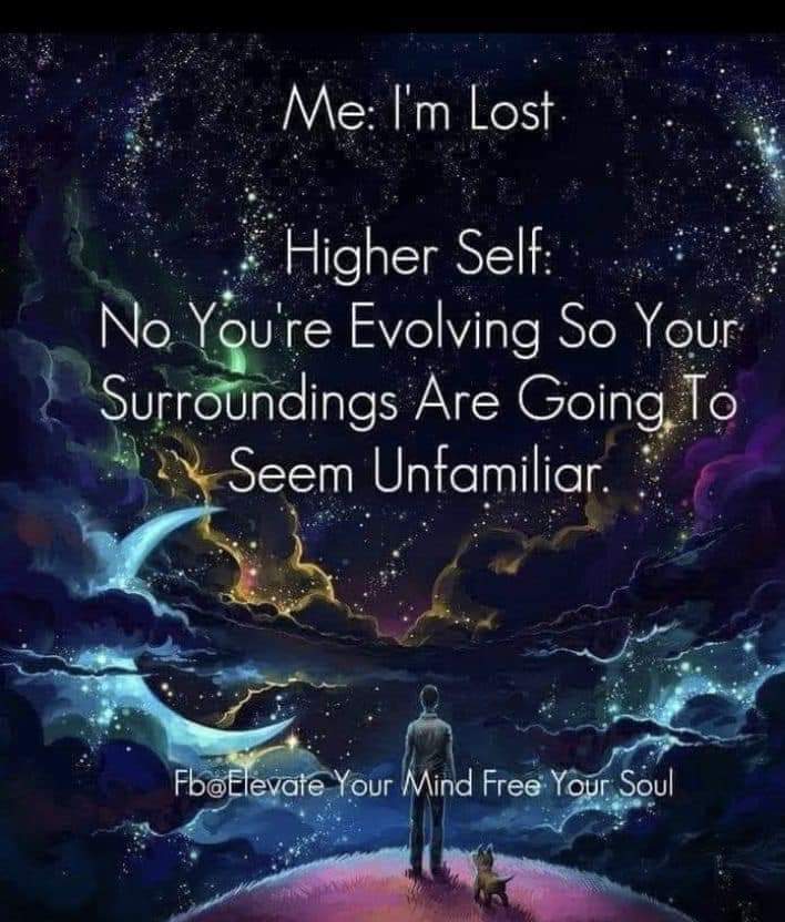 Me: I'm Lost
Higher Self: No You're Evolving So Your Surroundings Are Going To Seem Unfamiliar.
Fb@Elevate Your Mind Free Your Soul