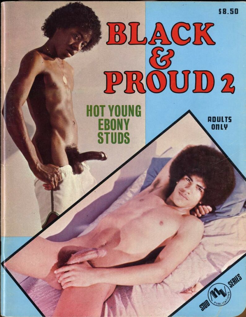 $8.50
BLACK & PROUD 2
HOT YOUNG EBONY STUDS
ADULTS ONLY
STUDAM SERIES
PUBLICAT IONS