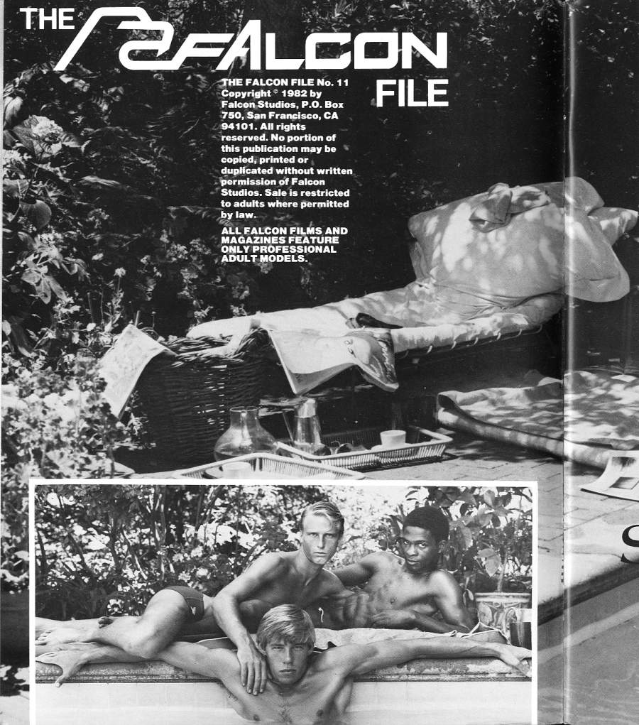 THE FALCON FILE No. 11 Copyright 1982 by Falcon Studios, P.O. Box 750, San Francisco, CA 94101. All rights reserved. No portion of this publication may be copied, printed or duplicated without written permission of Falcon Studios. Sale is restricted to adults where permitted by law. ALL FALCON FILMS AND MAGAZINES FEATURE ONLY PROFESSIONAL ADULT MODELS.