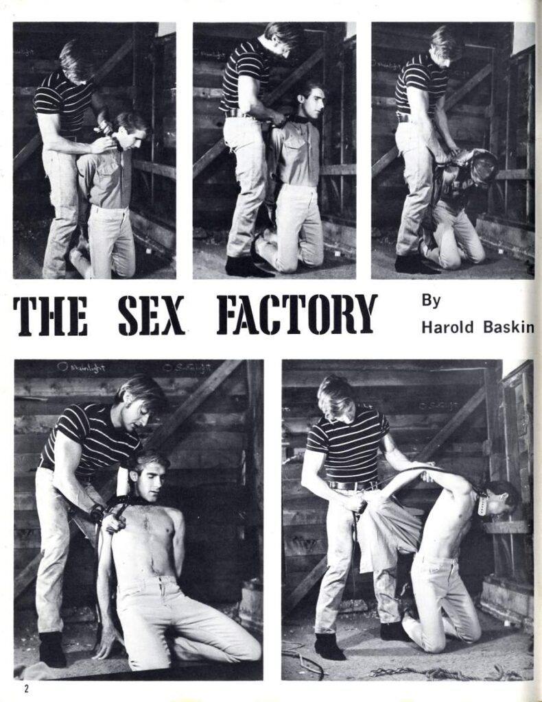 THE SEX FACTORY By Harold Baskin